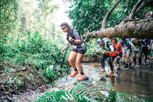 BIB: 
                            <button type="button" onclick="openModal(25477182)" class="btn btn-primary btn-sm float-right btn-popup" data-toggle="modal" data-target=".modal-high-quality">
                        <i class="fas fa-shopping-cart"></i> Add to Cart
                    </button>
                                            <button type="button" onclick="isThisMe(25477182, true)" class="btn btn-success btn-sm float-right btn-popup btn-isme hidden" data-toggle="tooltip" data-placement="bottom" title="นี่คือรูปของคุณใช่ไหม คลิกที่นี่เพื่อเอาเข้าอัลบั้ม">
                        <i class="fas fa-plus"></i> Add to album
                    </button>
                    <button type="button" onclick="isThisMe(25477182, false)" class="btn btn-warning btn-sm float-right btn-popup btn-isnotme hidden">
                        <i class="fas fa-ban"></i> Remove from album
                    </button>